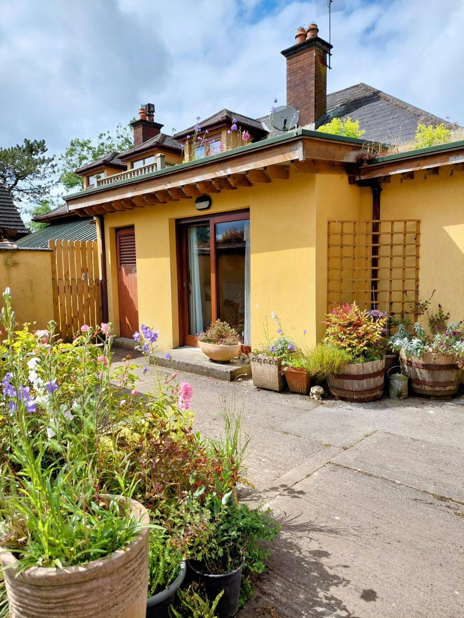 The Veterinary @ Kildare Village Extérieur photo